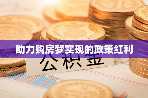 鹿草助力购房梦实现的政策红利