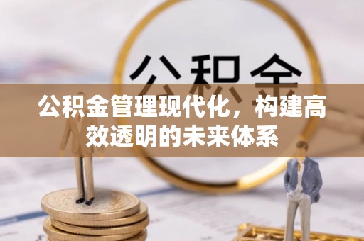 鹿草公积金管理现代化，构建高效透明的未来体系