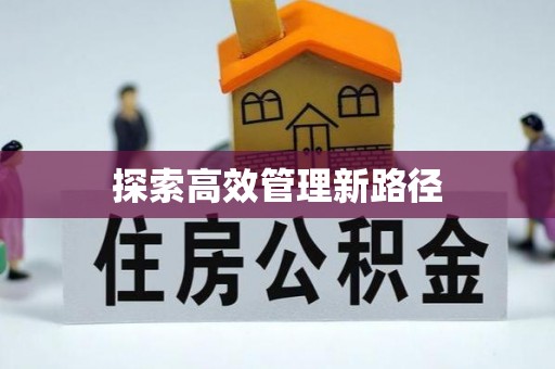 鹿草探索高效管理新路径